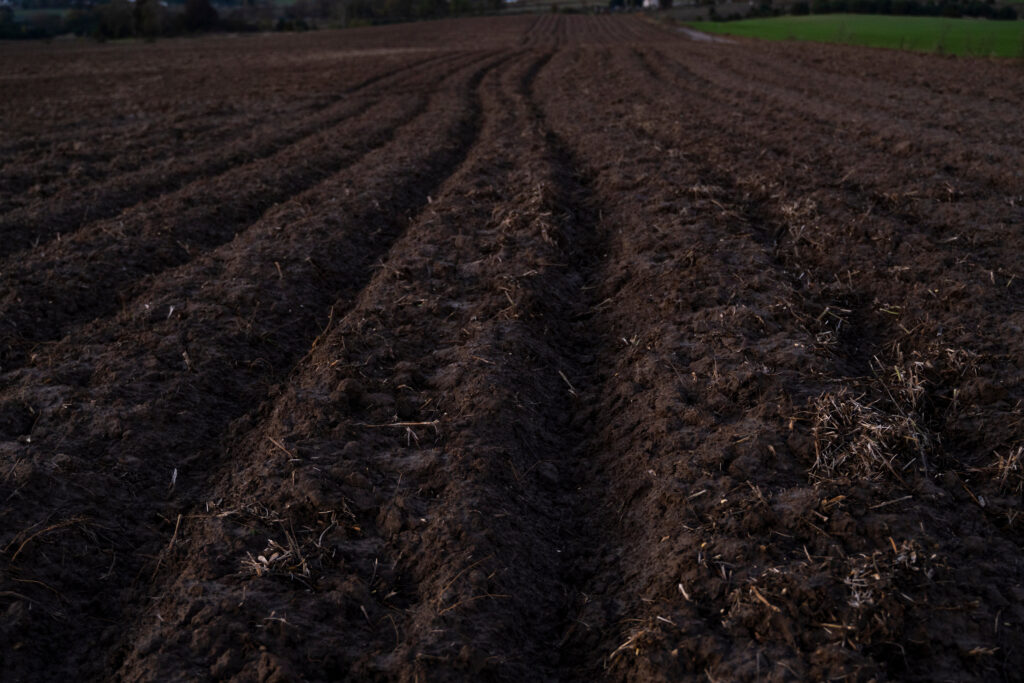 Rich Healthy Soil for farming