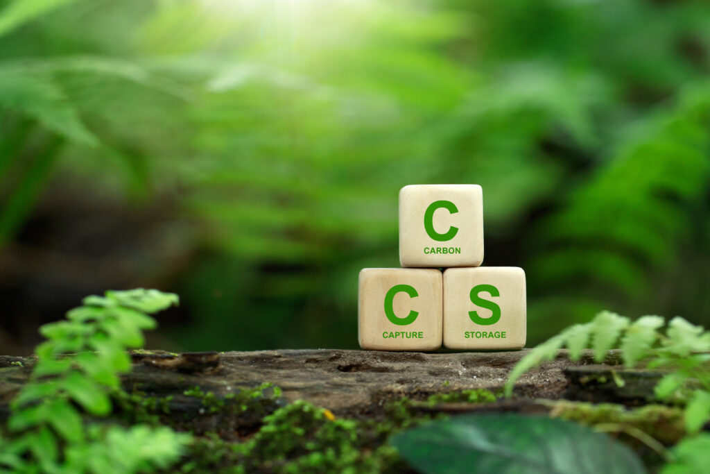 CCS acronym for Carbon Capture Storage