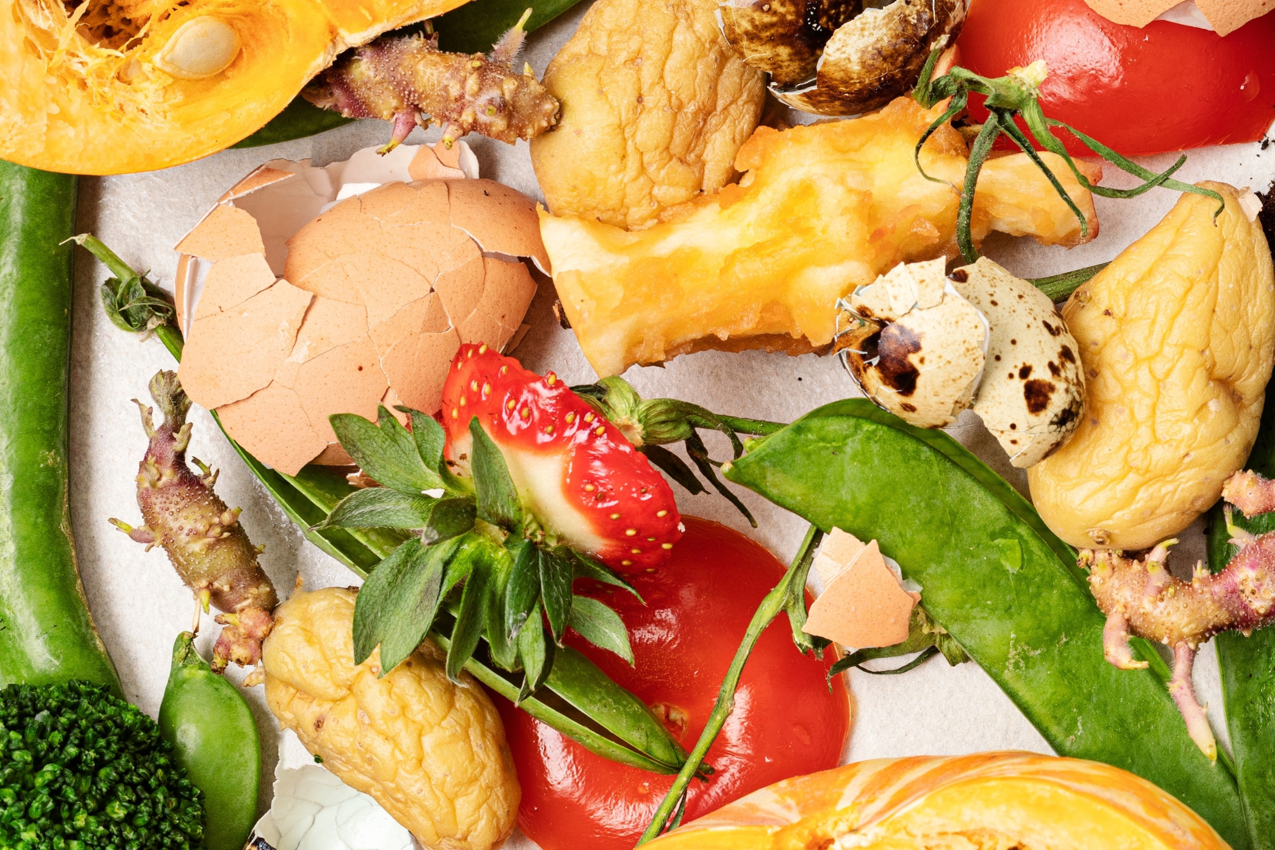 fruits and veggies in a compost bin